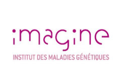 Image de logo de Imagine