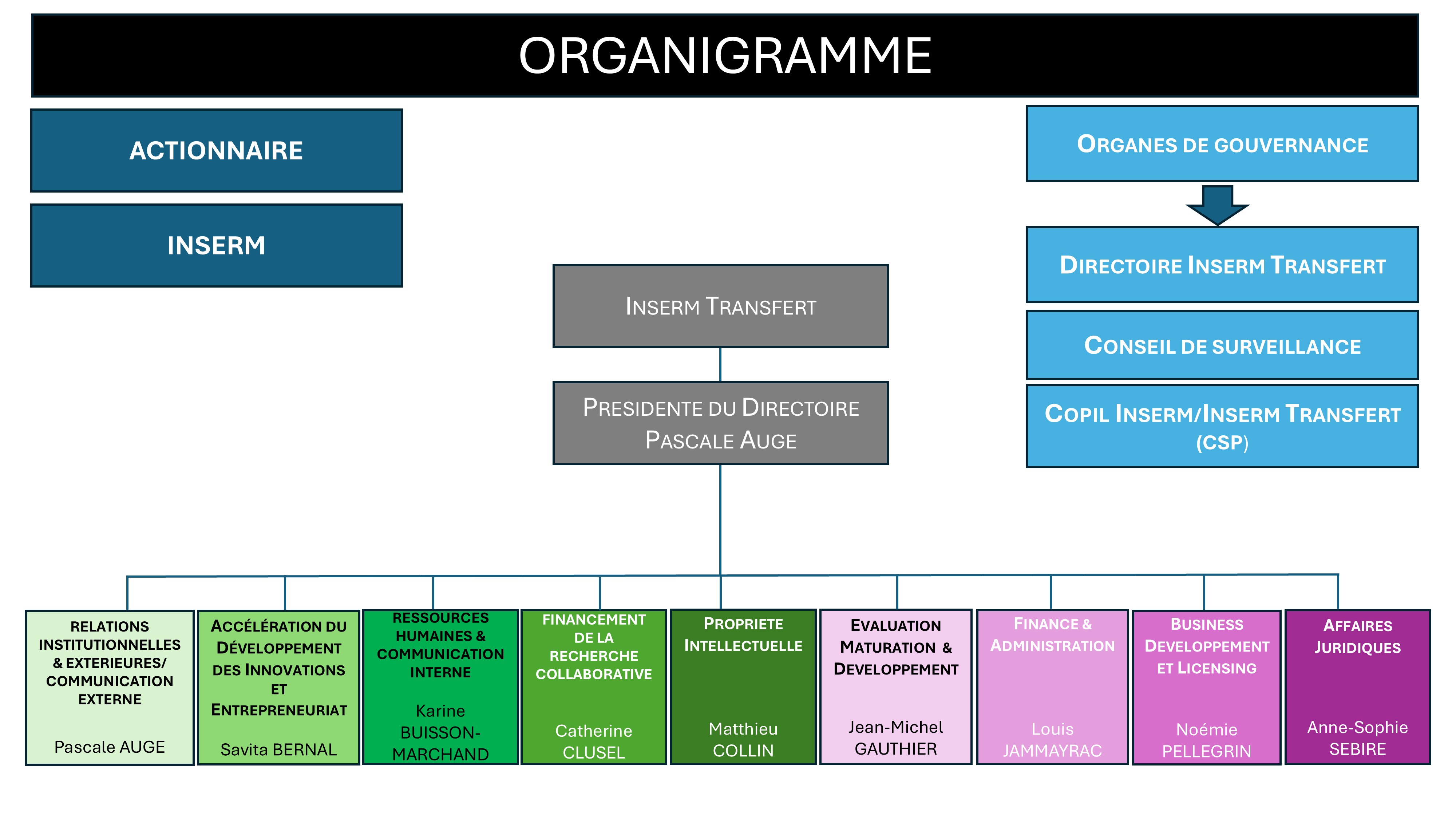 Organigramme